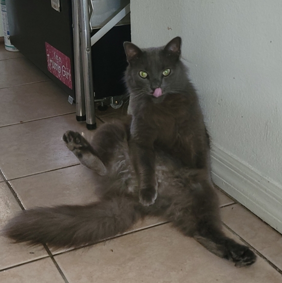 MELODY'S LIVE SHOW HOST LISTING - Picture 6 of 15